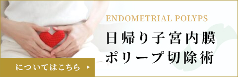 日帰り子宮内膜ポリープ切除術